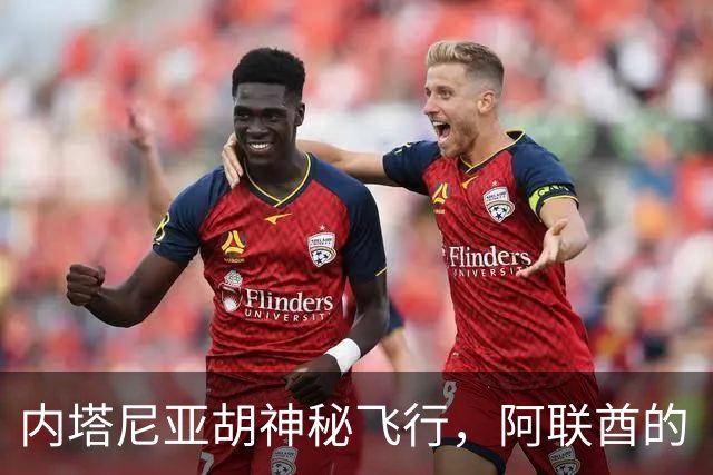 内塔尼亚胡神秘飞行，阿联酋的“特工任务”启幕！