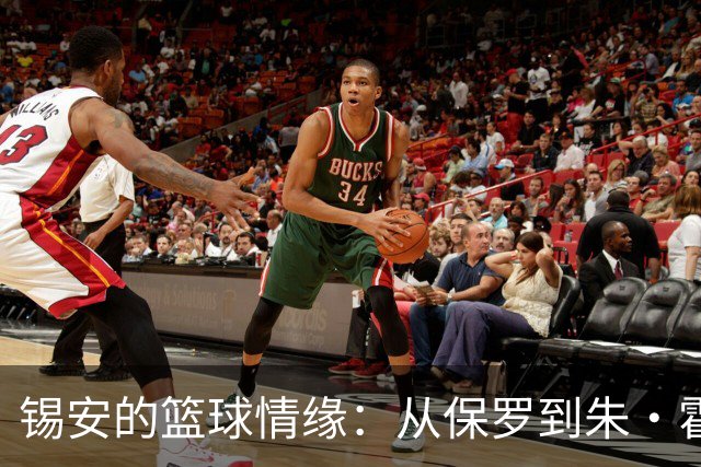 锡安的篮球情缘：从保罗到朱·霍勒迪的心路历程